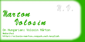 marton volosin business card